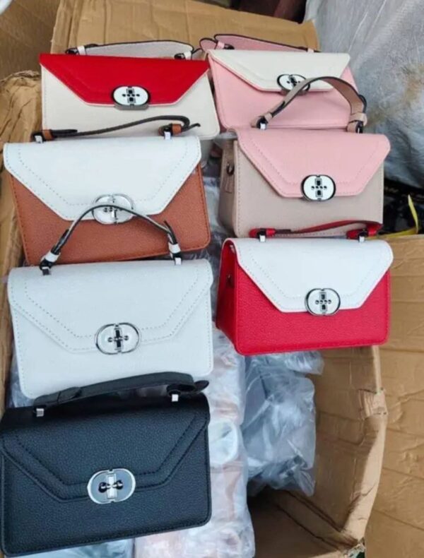 FB_IMG_1770112735860 (1) Females Handbags