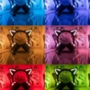 s-l1600-3-700x700-1 Wireless Cat Ears